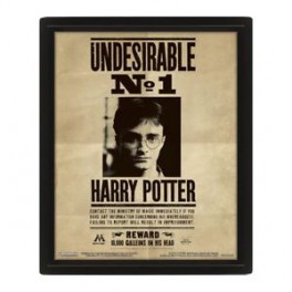 Harry Potter Cuadro 3D Sirius