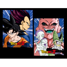 Dragon Ball Z Cuadro 3D Protectors & Destroyer